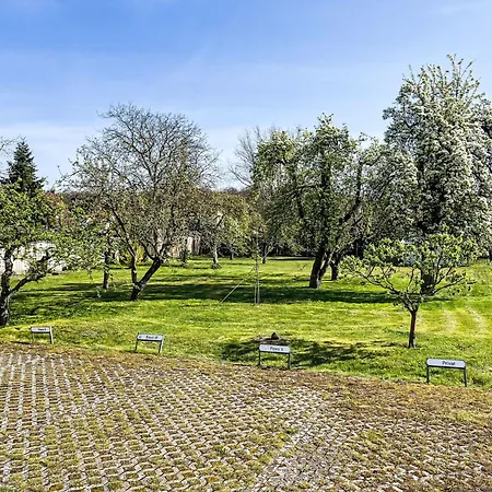 Burgfried - App- 1 By Interhome 科瑟罗